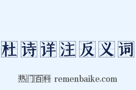 杜诗详注反义词是什么意思的图片